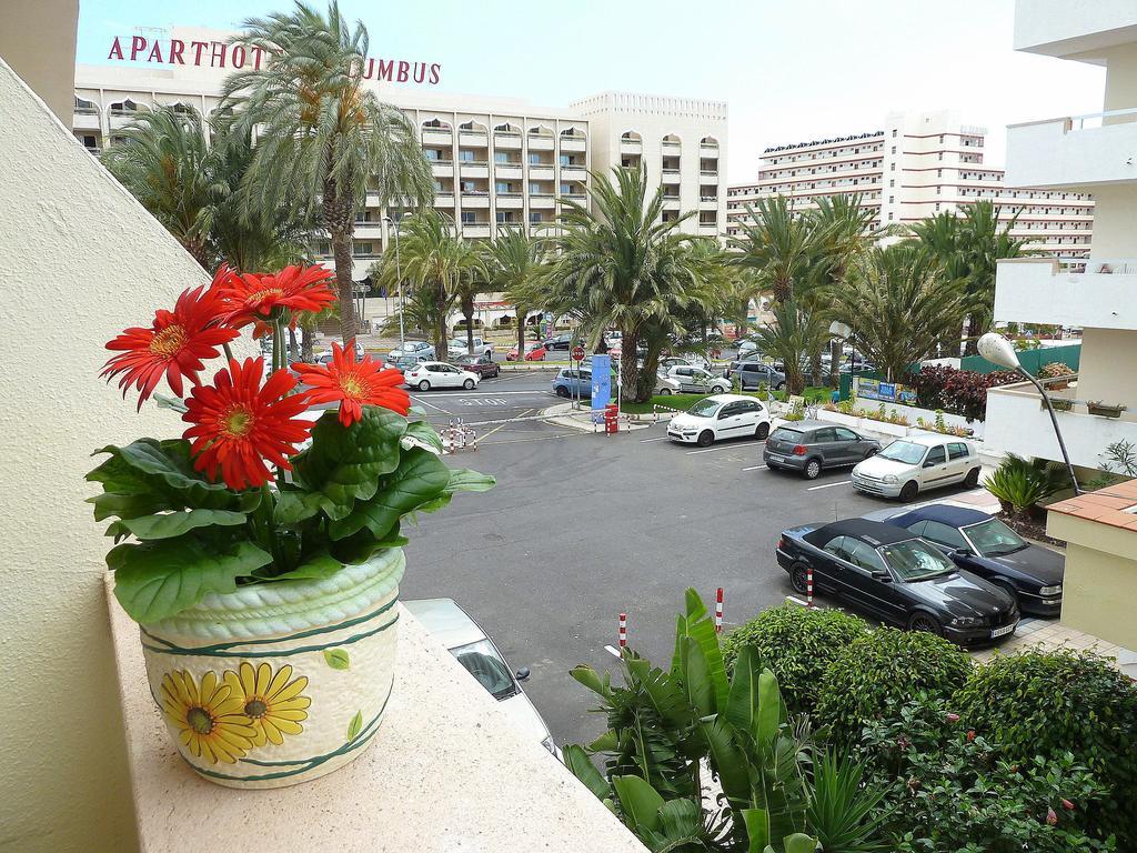 Holiday Apartment Los Tajinastes Playa de las Americas  Rum bild